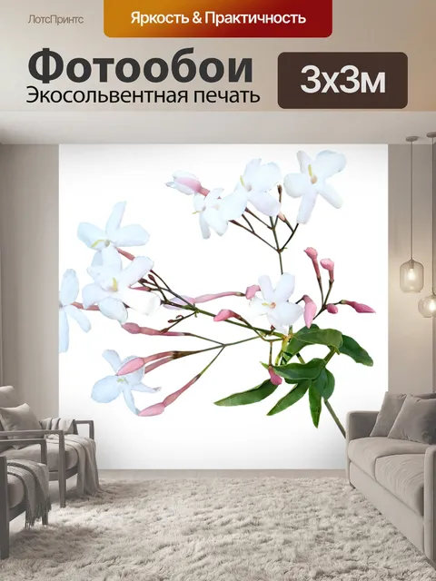 Фотообои Цветы