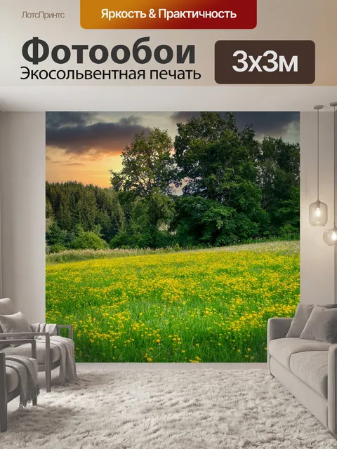 Фотообои Поле