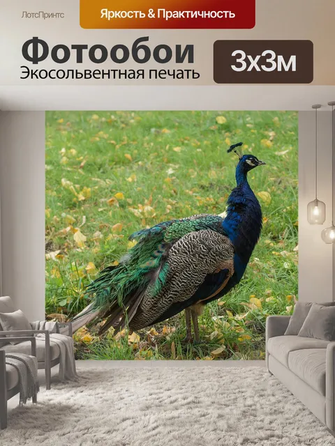 Фотообои Птица