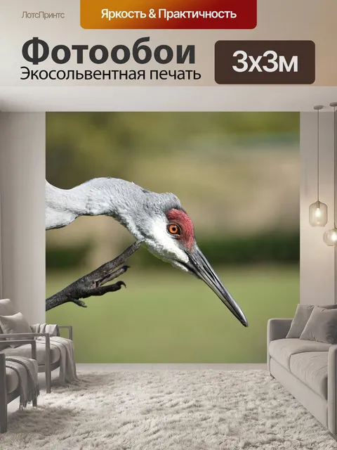 Фотообои Птицы