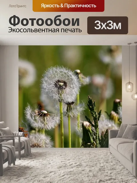 Фотообои Одуванчики