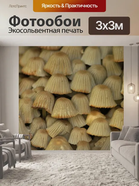 Фотообои Грибы