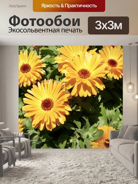 Фотообои Цветы