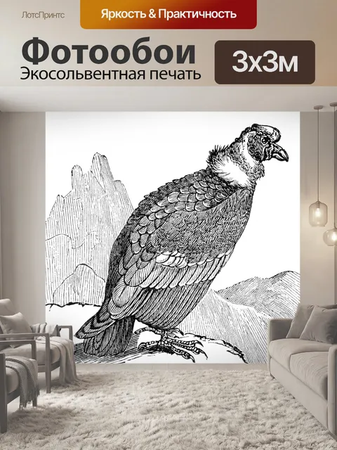 Фотообои Кондор