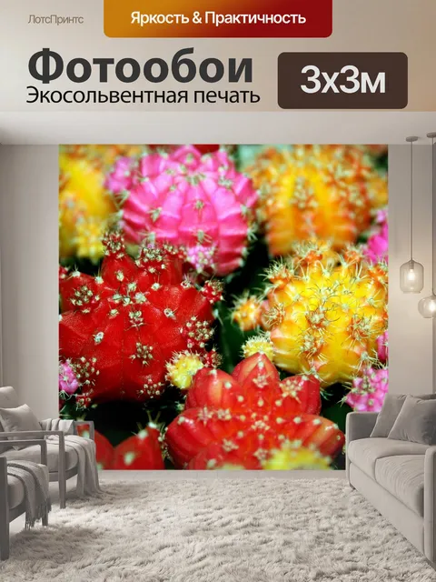 Фотообои Кактусы