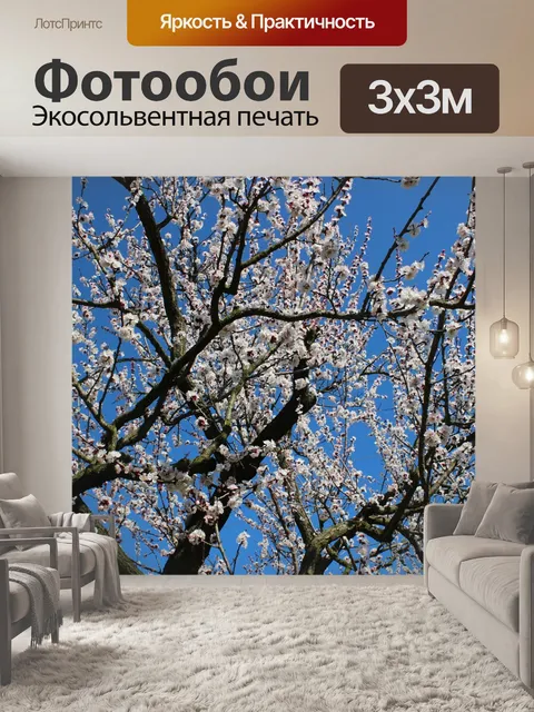 Фотообои Природа