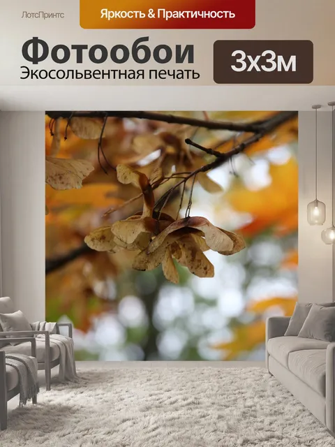 Фотообои Листья