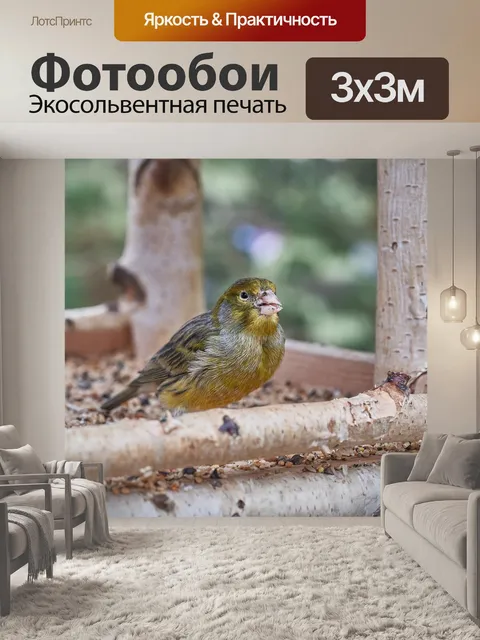 Фотообои Птица