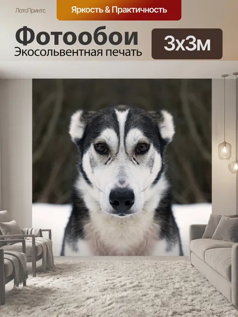 Фотообои Отраженный
