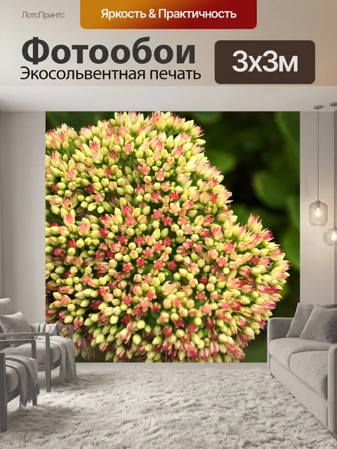 Фотообои Цветы
