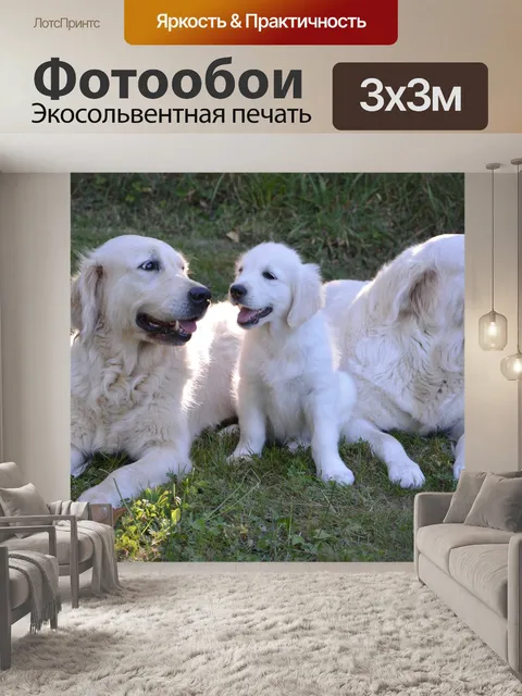 Фотообои Собаки