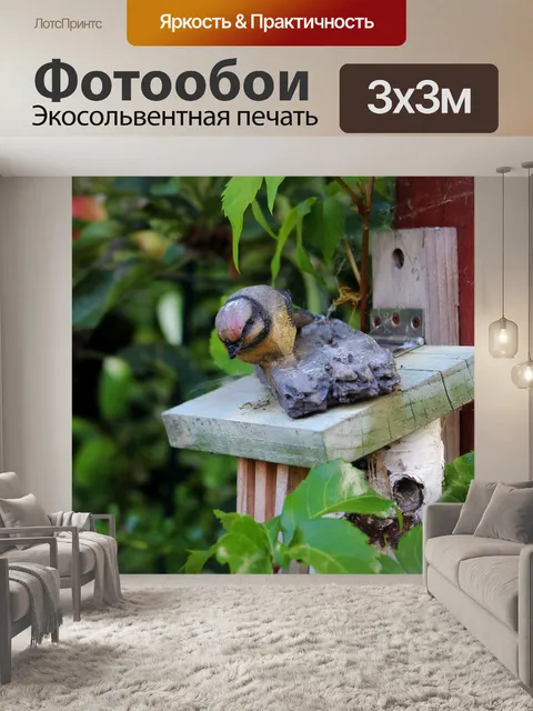 Фотообои Сад