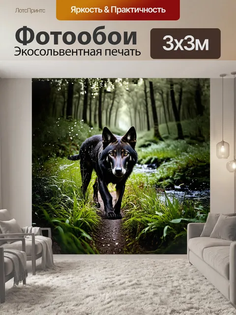 Фотообои в густом лесу черный волк осторожно пробирается сквозь высокую траву
