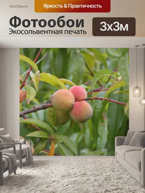 Фотообои Рыбалка