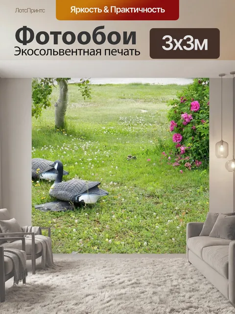 Фотообои Декоративные дрофы 2