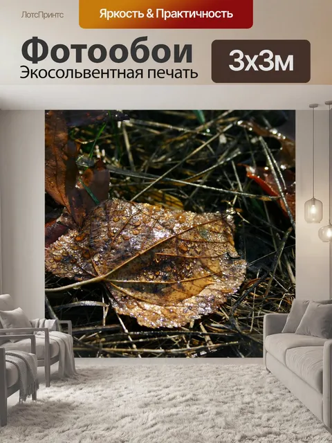 Фотообои Лист