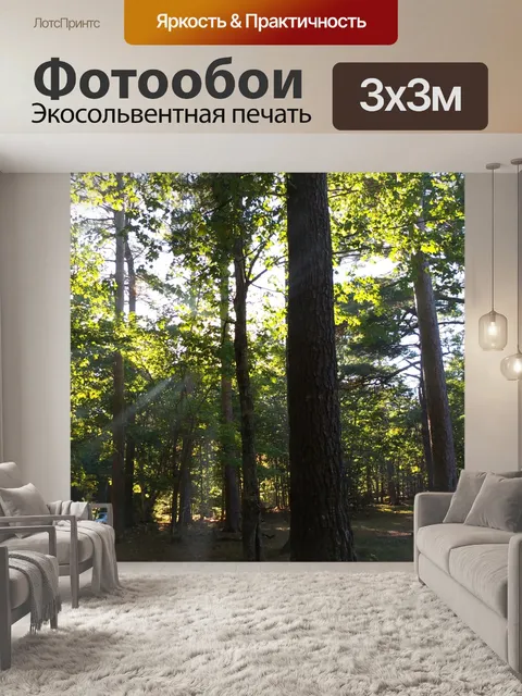 Фотообои Столы для пикника