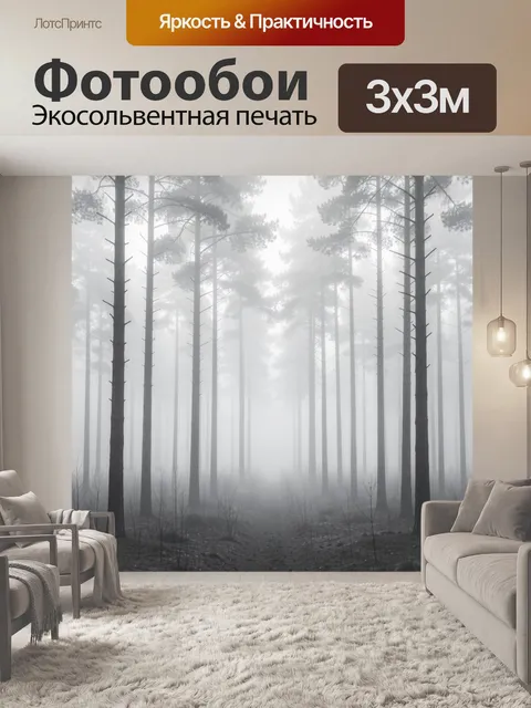 Фотообои Туманный сосновый лес