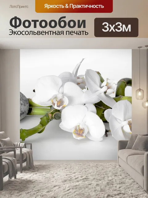 Фотообои Орхидея