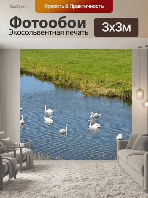 Фотообои Лебеди