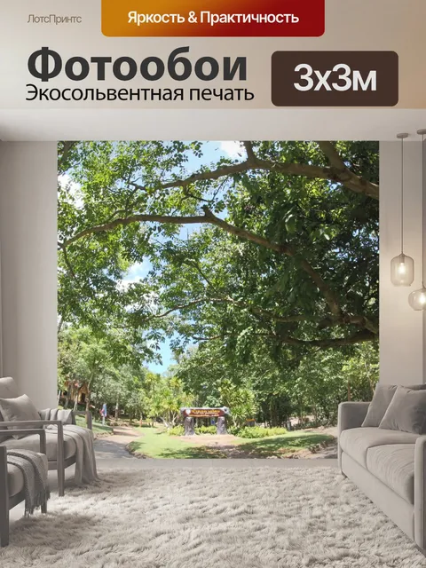 Фотообои Национальный парк Tadton Waterfall