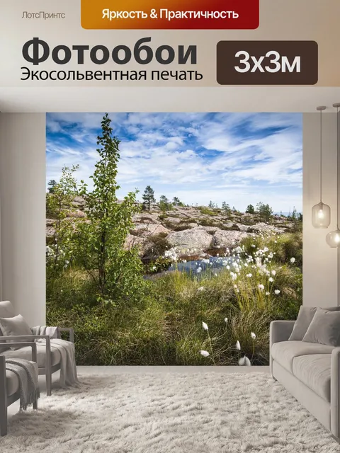 Фотообои Скандинавский