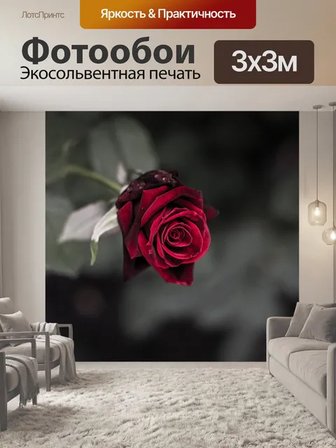 Фотообои Роза