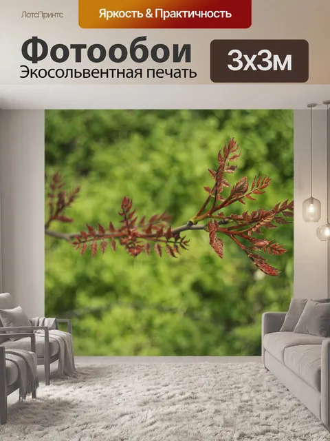 Фотообои Природа