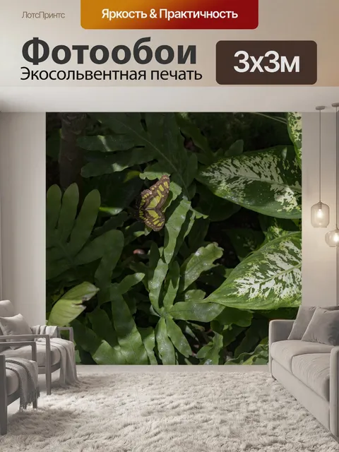 Фотообои Малахитовая бабочка на растении
