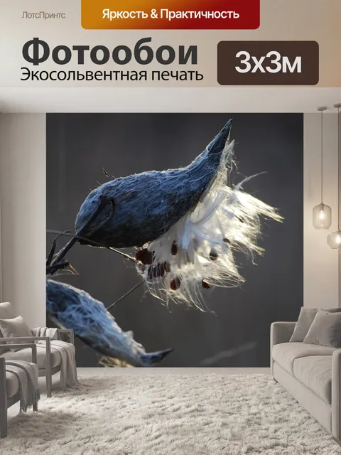 Фотообои Молочая