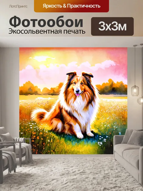 Фотообои грубая колли, грациозно сидящая на цветущем лугу, окруженная шепотом ветра и звуками природы