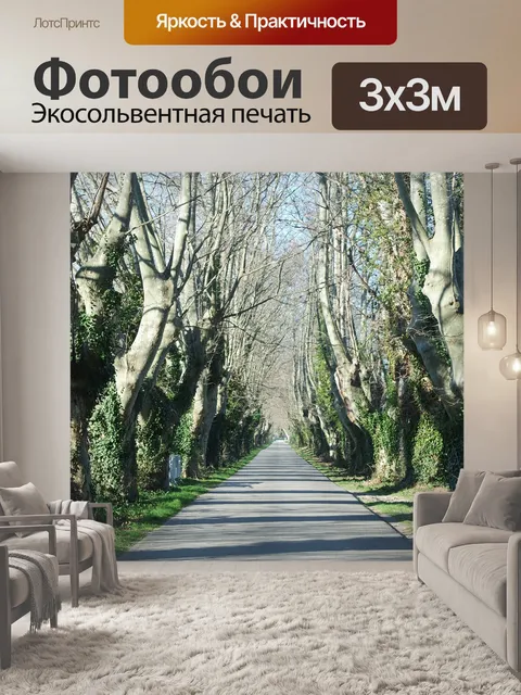 Фотообои Лес