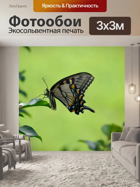 Фотообои Tiger Swallowtail Butterfly