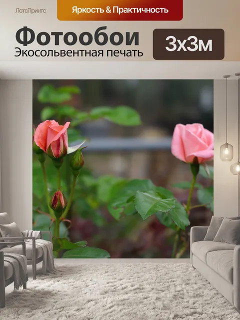 Фотообои Розы