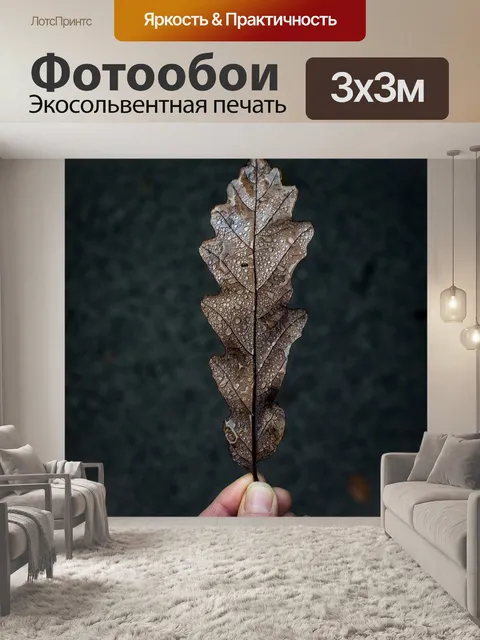 Фотообои Лист