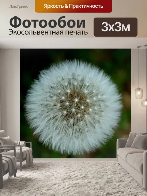 Фотообои Одуванчики