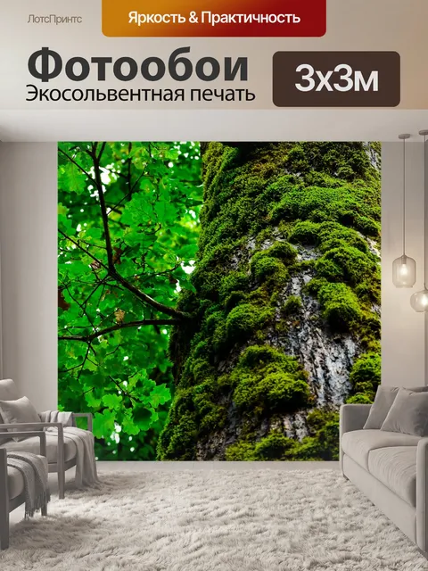 Фотообои Дерево