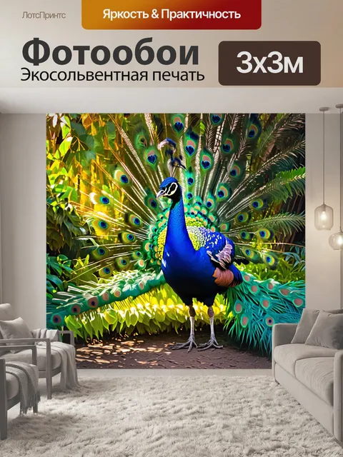 Фотообои величественный павлин, распустивший свои яркие перья на фоне зелёного тропического леса
