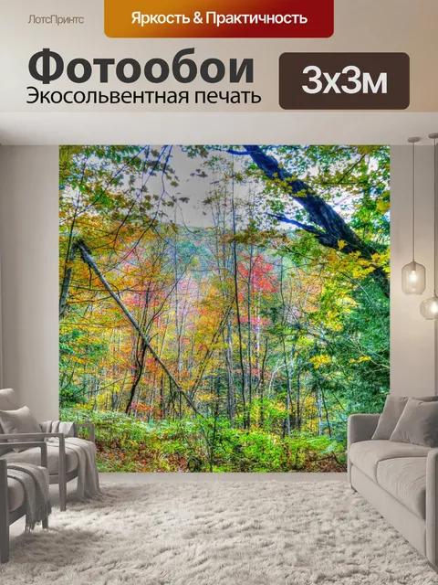 Фотообои Осенний лес