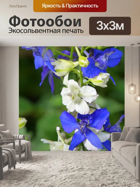 Фотообои Цветы