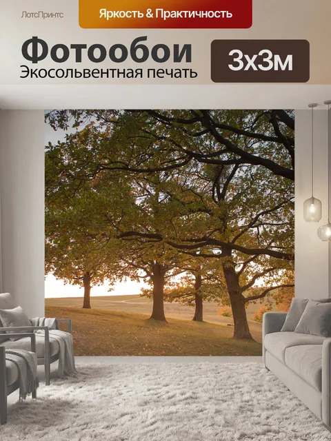 Фотообои Дерево