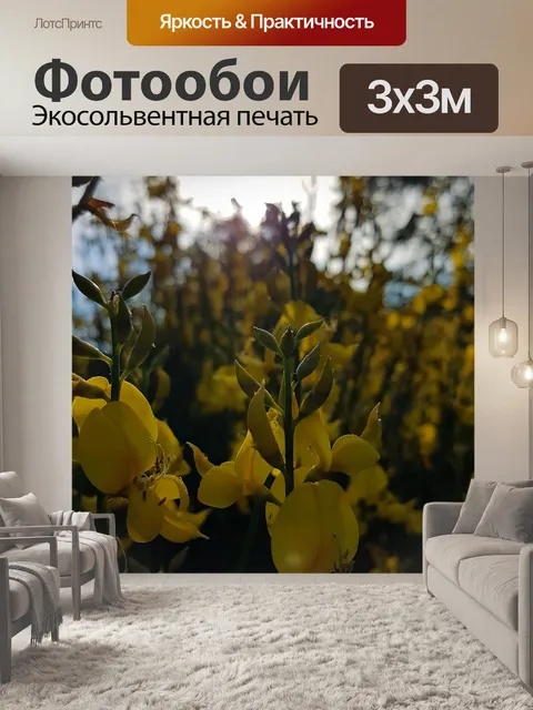 Фотообои Метла