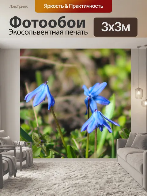Фотообои Природа