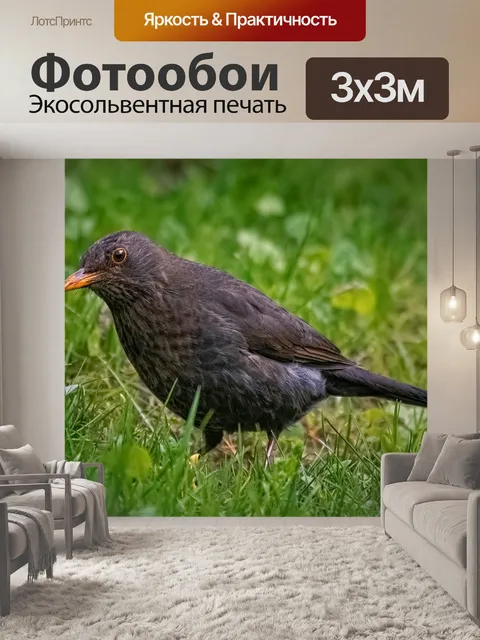 Фотообои Птица