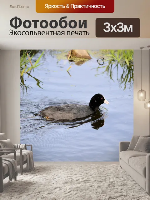 Фотообои Птицы