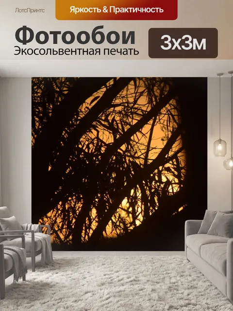 Фотообои Заход солнца