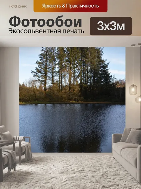 Фотообои Сосна