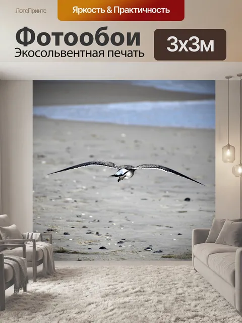 Фотообои Птица