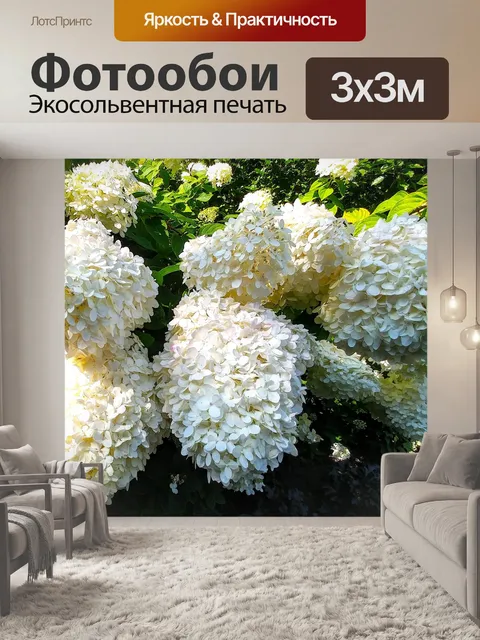 Фотообои Белая гладкая гортензия