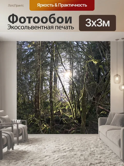 Фотообои Дорожка